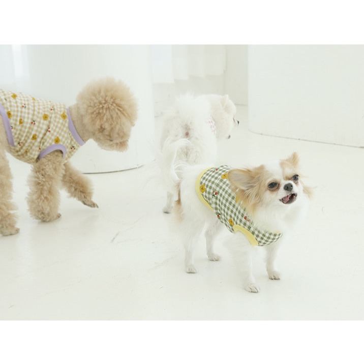 貓狗櫻桃小熊衣-細節圖5