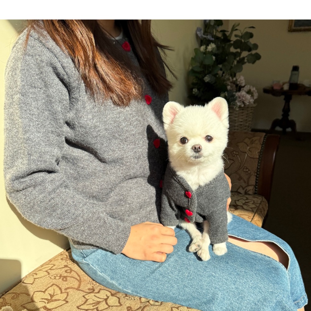 素色愛心萌寵衣-細節圖8