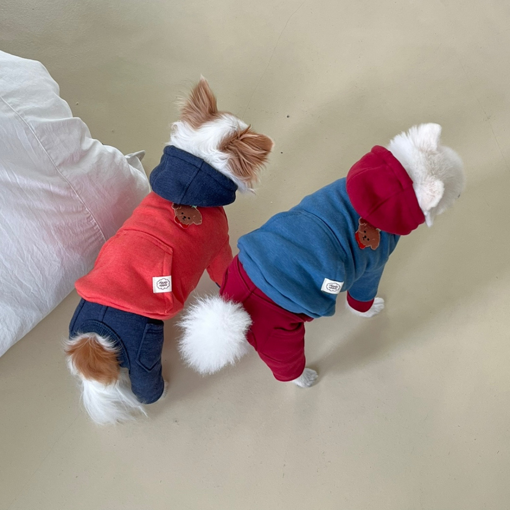 熊熊連帽衣-細節圖3