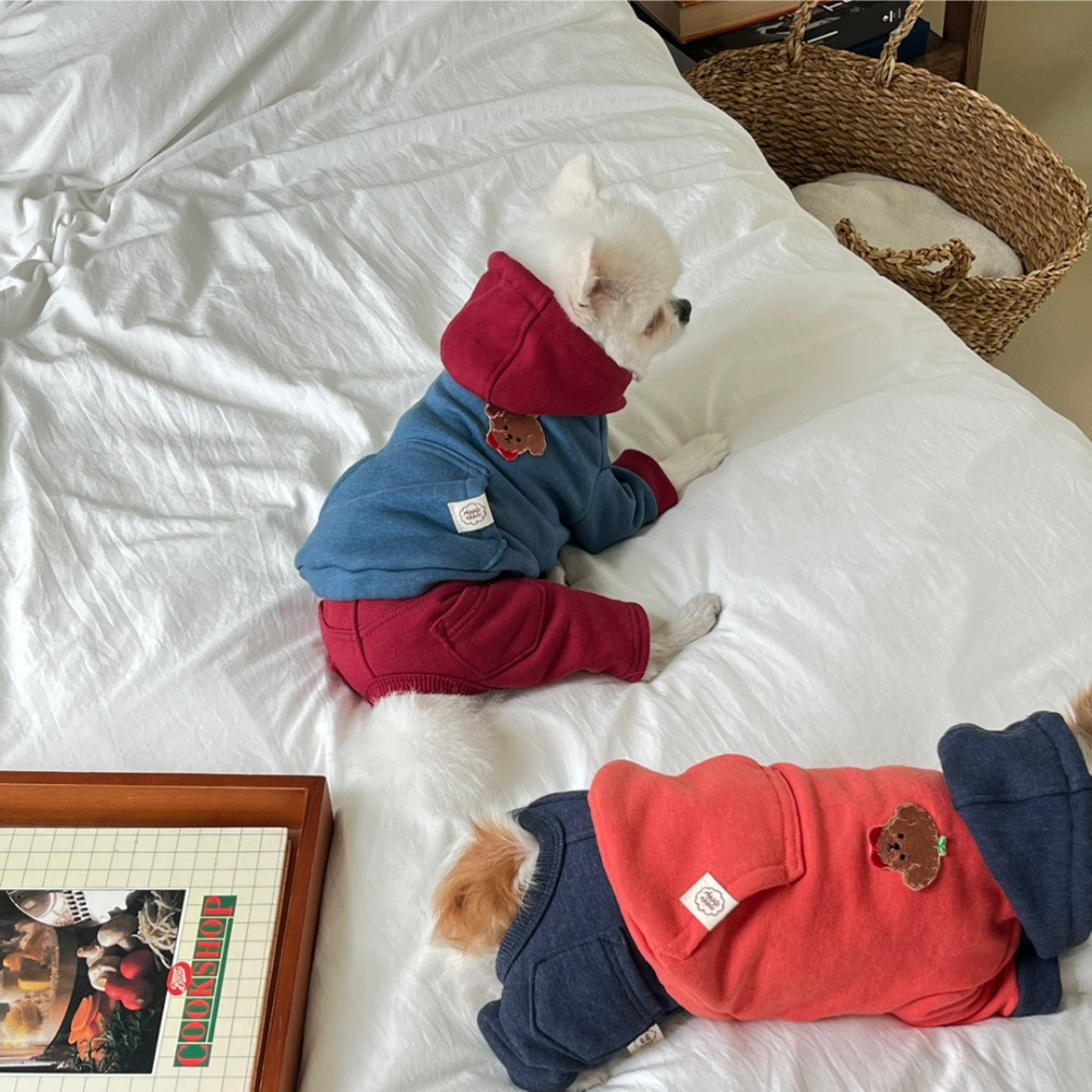 熊熊連帽衣-細節圖4