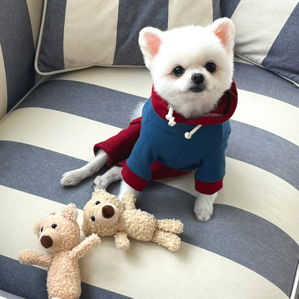 熊熊連帽衣-細節圖5