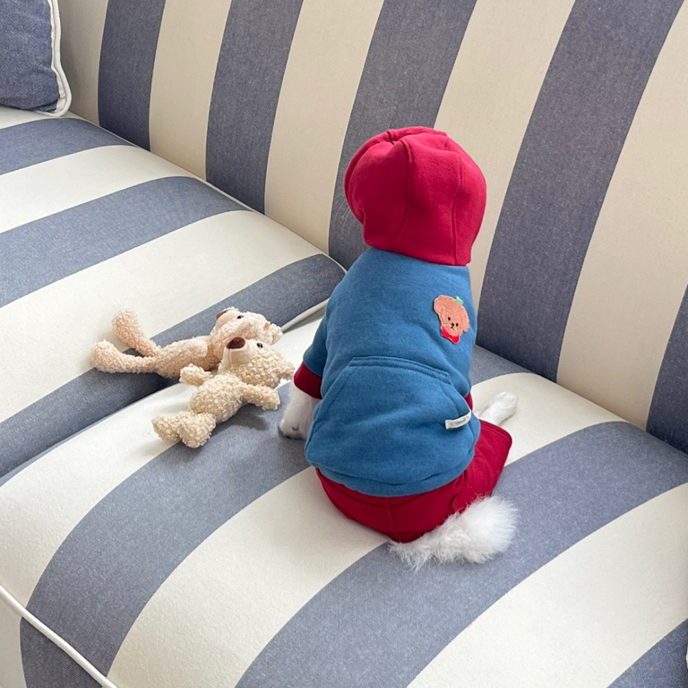 熊熊連帽衣-細節圖7