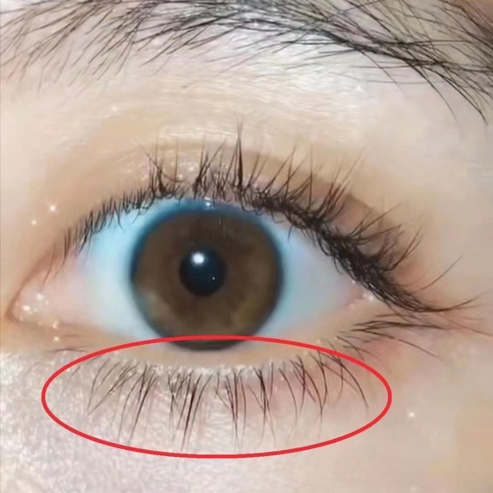 睫毛剋星/ 獨家總代理商 小金匙/小金瓶/2用*睫毛液/睫毛眉毛保養液滋養液-細節圖5