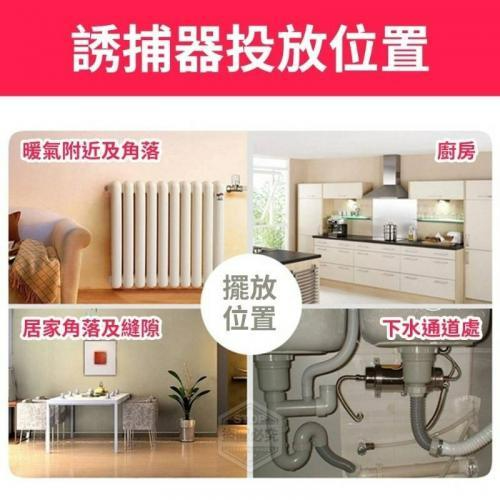 免緊蟑不沾手蟑螂誘捕器-細節圖4