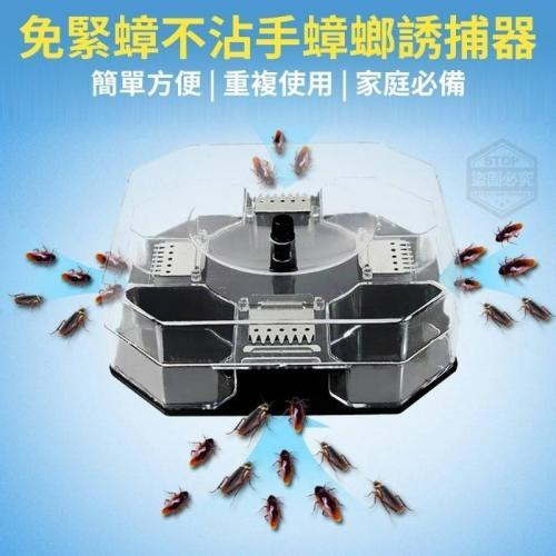 免緊蟑不沾手蟑螂誘捕器-細節圖5