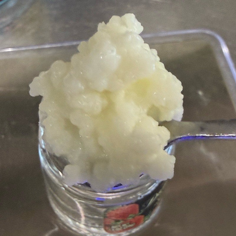 🥣 克菲爾菌 kefir 自製酸奶 優格 優若乳 克菲爾-細節圖3