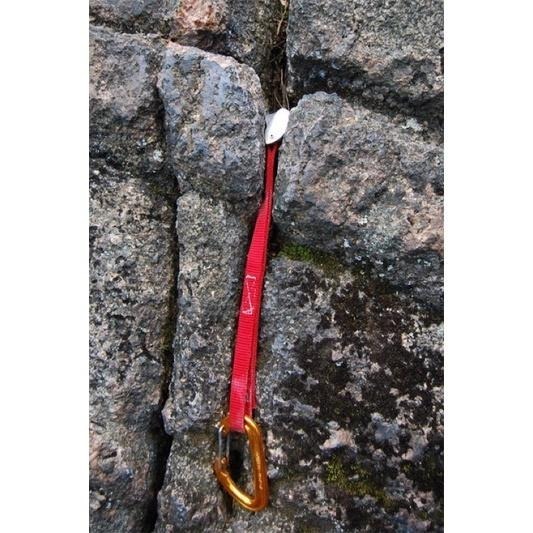 【隔壁山友】現貨+發票 Camp Tricam Evo Set 扁帶岩楔 雞嘴巴 被動式岩楔 攀岩 溯溪 技術裝備-細節圖2