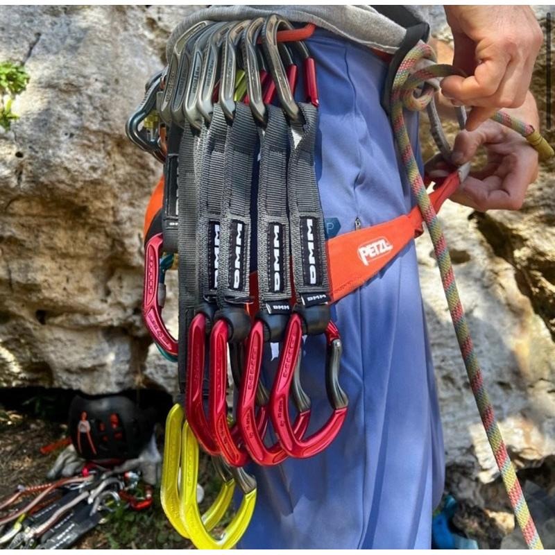 【隔壁山友】現貨+發票 DMM Alpha Sport Quickdraw 18cm 快扣組 攀岩-細節圖3