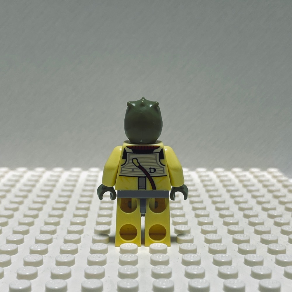 LEGO 人偶 star war sw0828  [二手]-細節圖2