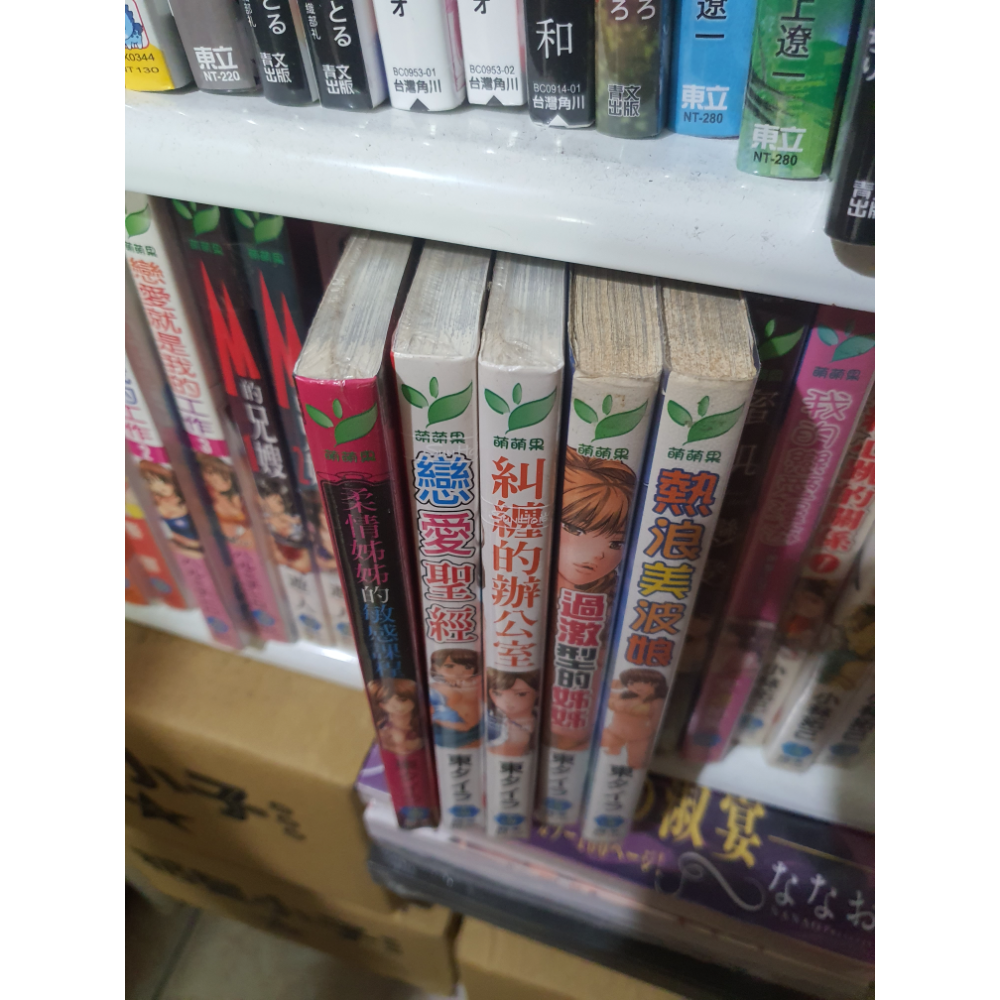 東タイラ 系列-細節圖2