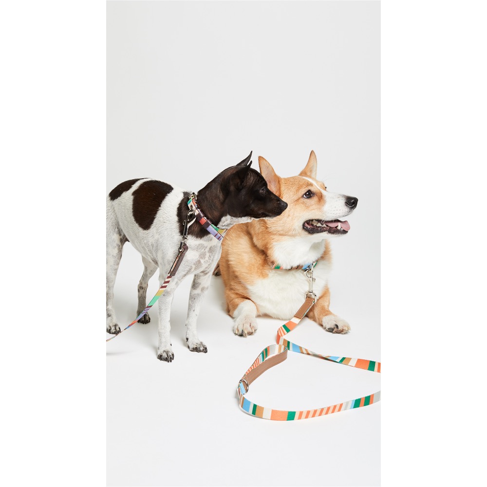 緋聞 ♥️ 美國 / 狗狗 / 牽繩 / 圈繩 / 寵物精品 / 美好料材 🐶-細節圖3