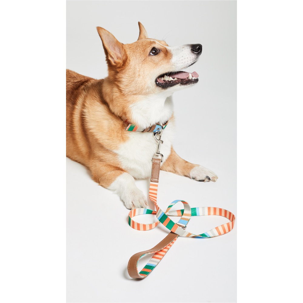 緋聞 ♥️ 美國 / 狗狗 / 牽繩 / 圈繩 / 寵物精品 / 美好料材 🐶-細節圖4