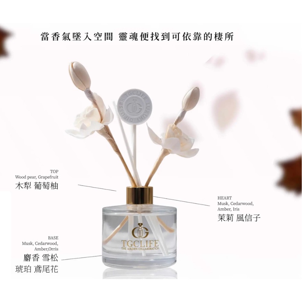 店主優惠｜深芊之境擴香 Fragrant Depths-細節圖2