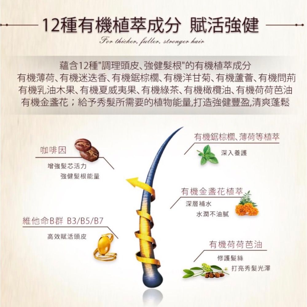Petal Fres h救髮B咖啡因洗髮精-稀疏髮質-細節圖6