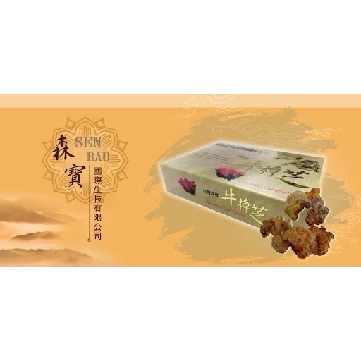 🌸LiLi CoCo🌸 現貨🔥森寶牛樟芝複方膠囊💊-細節圖3
