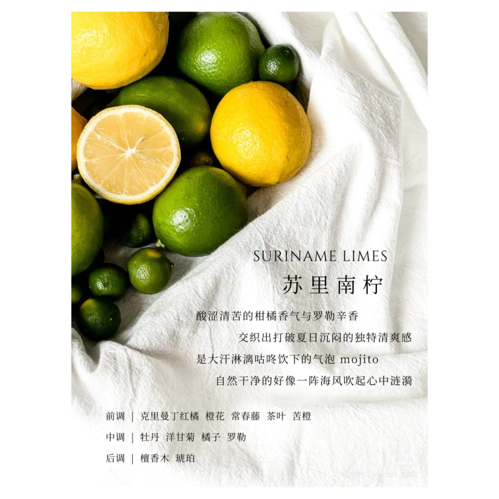 戴栗ლ 獨特艾琳 ᴅᴇᴀʀ ɪʀᴇᴀɴ香氛洗髮乳 護髮乳 去屑蓬鬆控油🧺古希臘掌管高顱頂的神-細節圖3