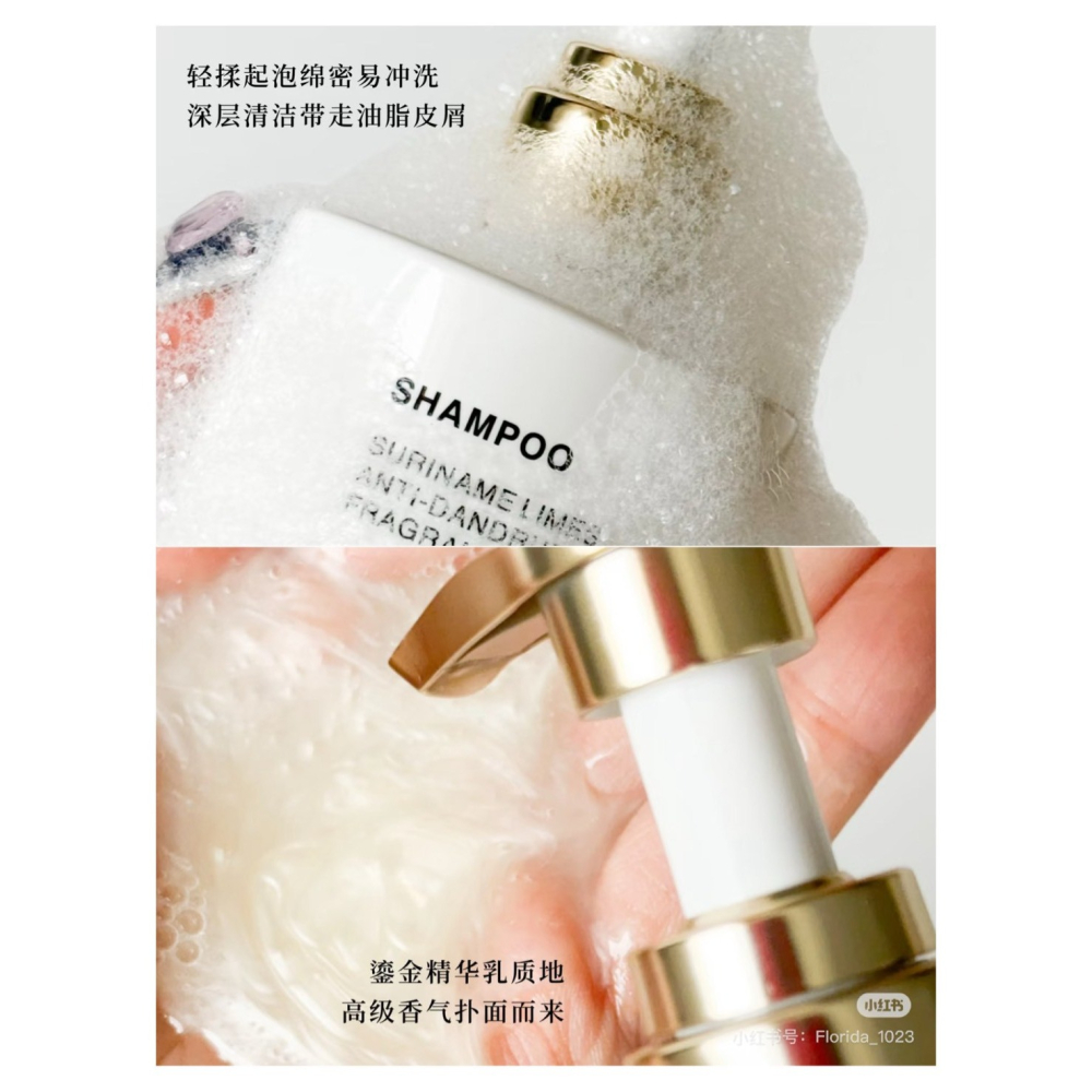 戴栗ლ 獨特艾琳 ᴅᴇᴀʀ ɪʀᴇᴀɴ香氛洗髮乳 護髮乳 去屑蓬鬆控油🧺古希臘掌管高顱頂的神-細節圖5