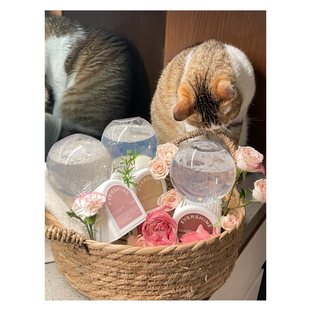 戴栗ლ EverShine晴天大白倒立空間香氛 空氣香氛 清新香薰🧊香氛界卷王-細節圖3