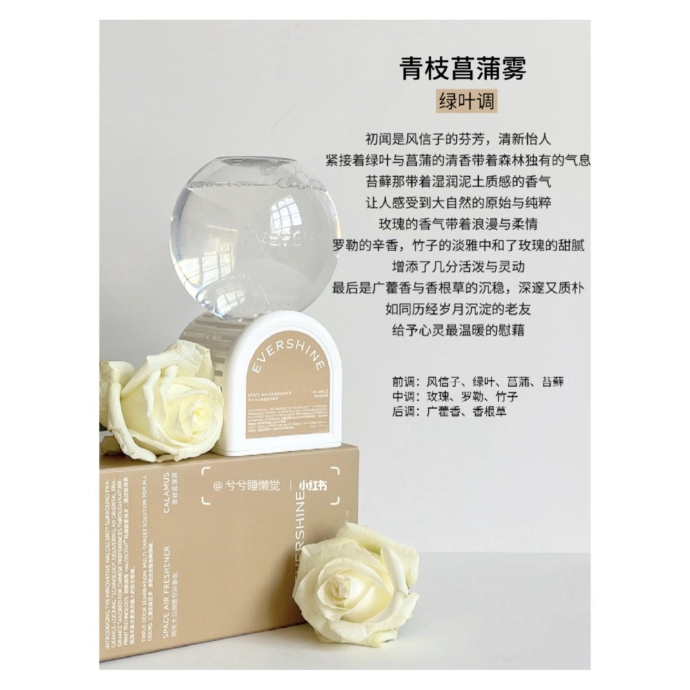 戴栗ლ EverShine晴天大白倒立空間香氛 空氣香氛 清新香薰🧊香氛界卷王-細節圖6