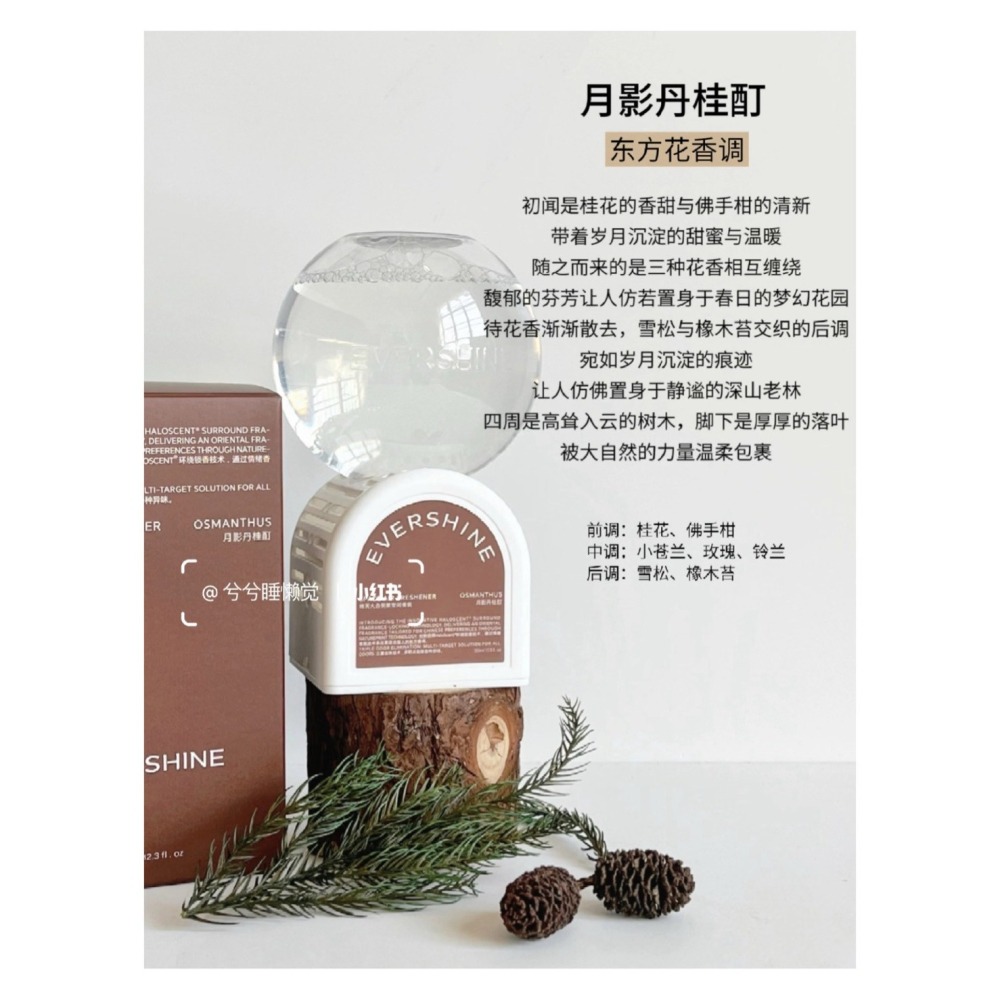 戴栗ლ EverShine晴天大白倒立空間香氛 空氣香氛 清新香薰🧊香氛界卷王-細節圖8