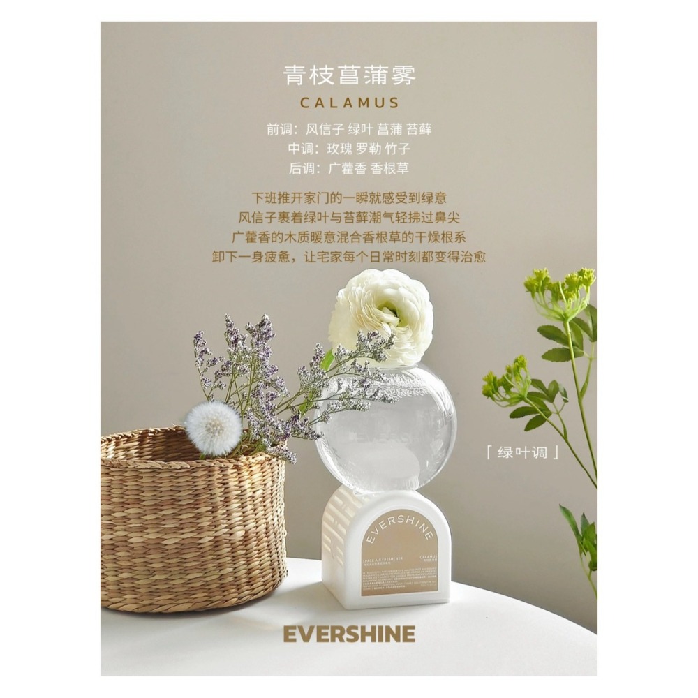戴栗ლ EverShine晴天大白倒立空間香氛 空氣香氛 清新香薰🧊香氛界卷王-細節圖9