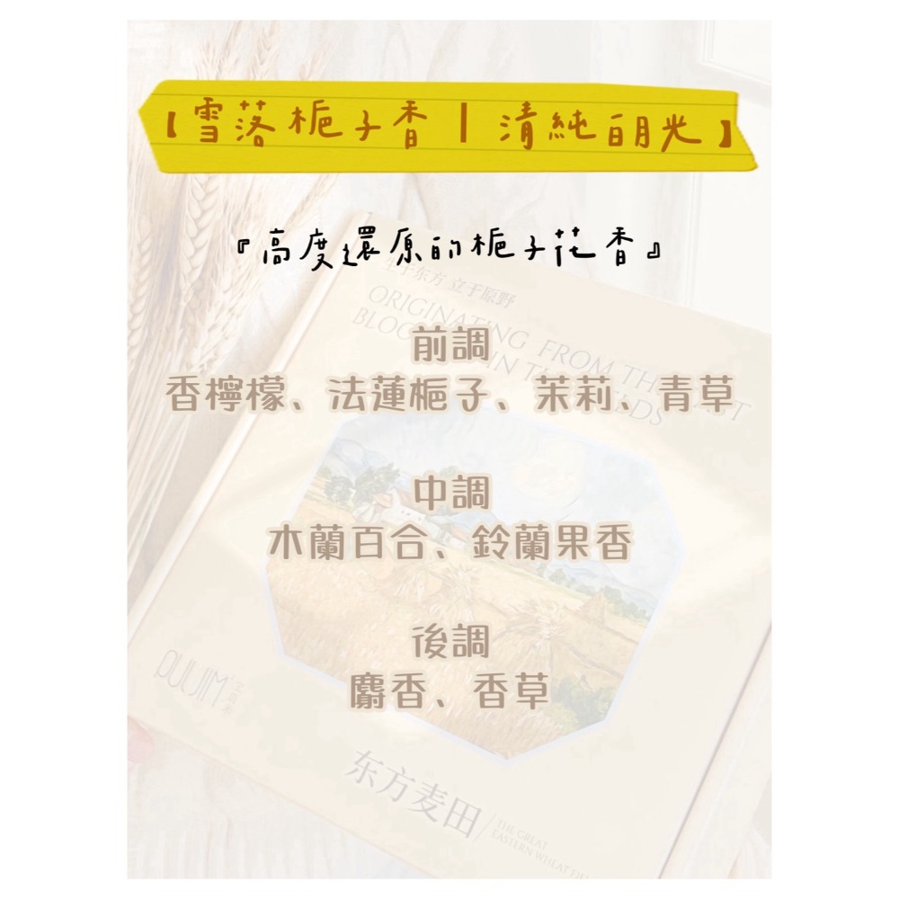 【雪落梔子香 Ι 清純白月光】