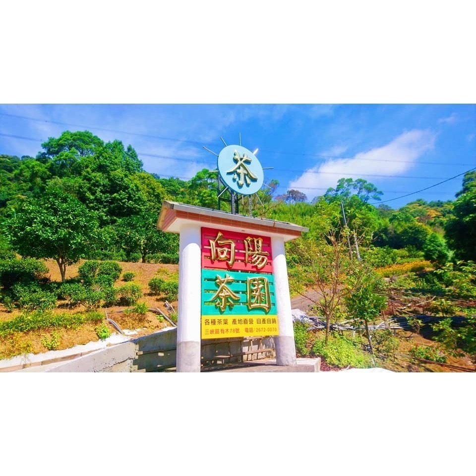 新北蜜香紅茶-真功夫好茶(優良、銀獎、金獎)-細節圖8