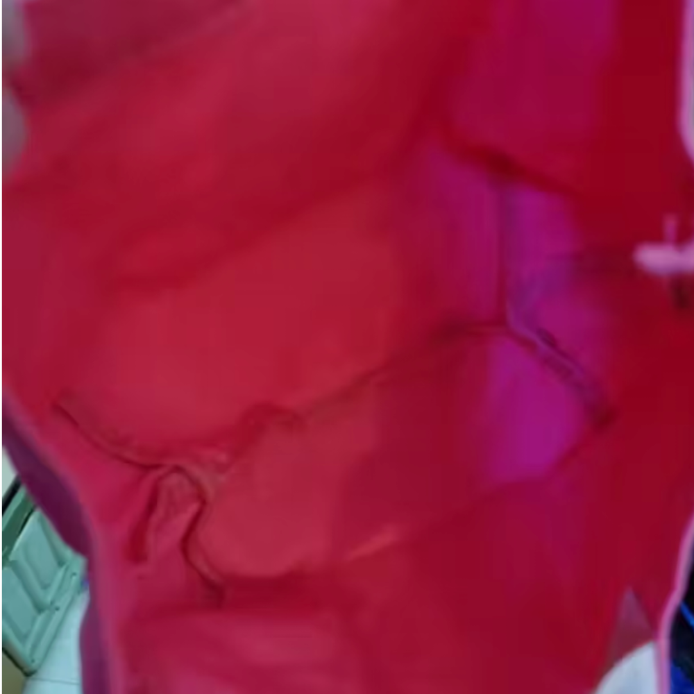 全新卡娜赫拉 便當袋 100元-細節圖2