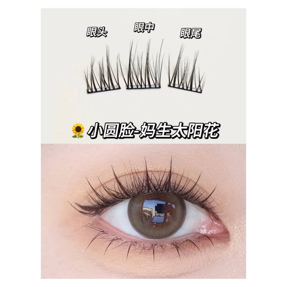 花洛莉亞ꜰʟᴏʀᴛᴛᴇ免膠假睫毛-細節圖5