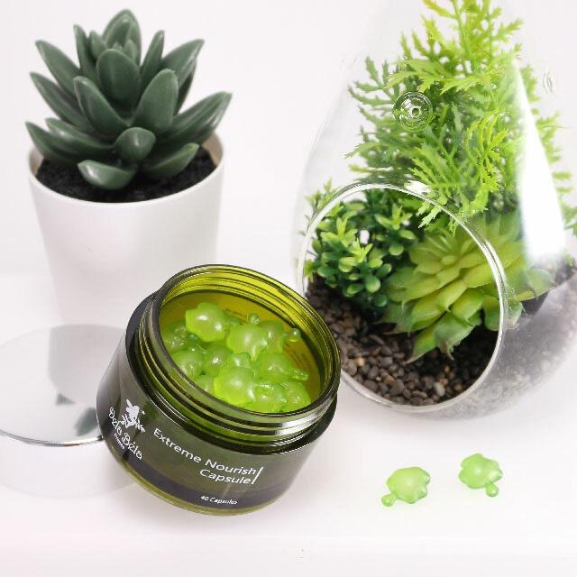 Dela Bela-萃養修護海藻膠囊40入,15入-細節圖3