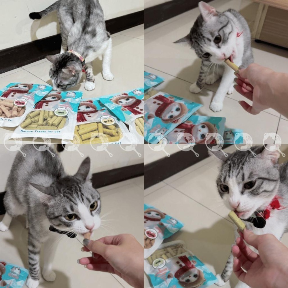 派肯寵物【快速出貨】MORES摩爾思 凍乾貓草棒 小紅書爆紅 貓薄荷 貓草 凍乾 貓咪磨牙零食-細節圖7