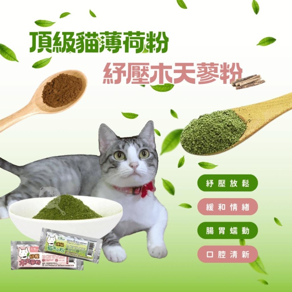 派肯寵物【快速出貨】 貓薄荷粉 木天蓼粉  貓薄荷 貓零食 台灣製造-細節圖2