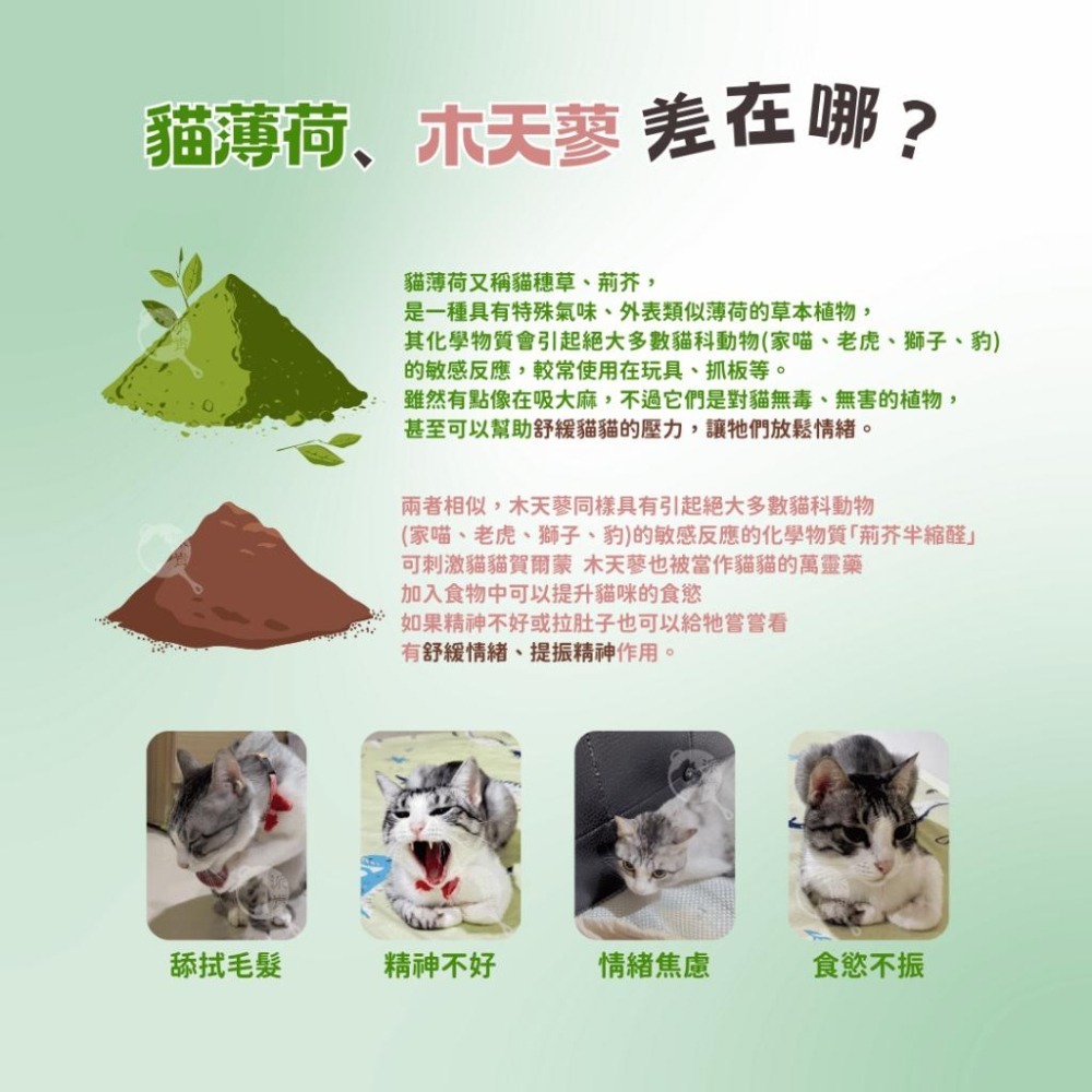 派肯寵物【快速出貨】 貓薄荷粉 木天蓼粉  貓薄荷 貓零食 台灣製造-細節圖3
