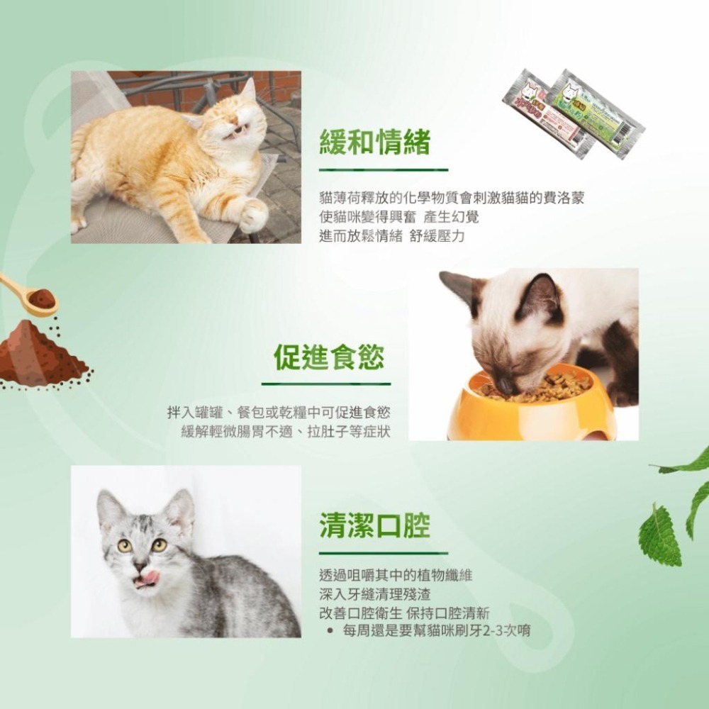 派肯寵物【快速出貨】 貓薄荷粉 木天蓼粉  貓薄荷 貓零食 台灣製造-細節圖4