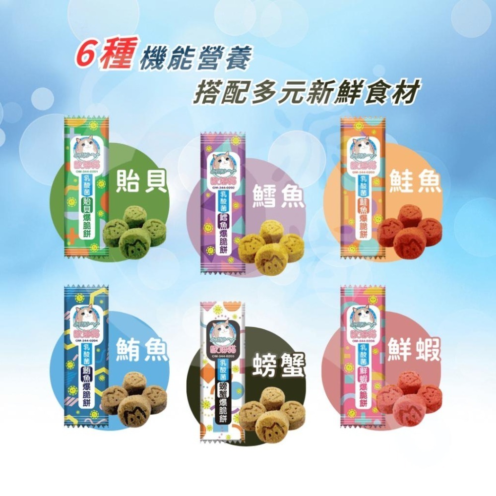 派肯寵物【快速出貨】歐姆貓 乳酸菌爆脆餅 乳酸菌 貓零食 貓點心 機能零食 寵物零食-細節圖4