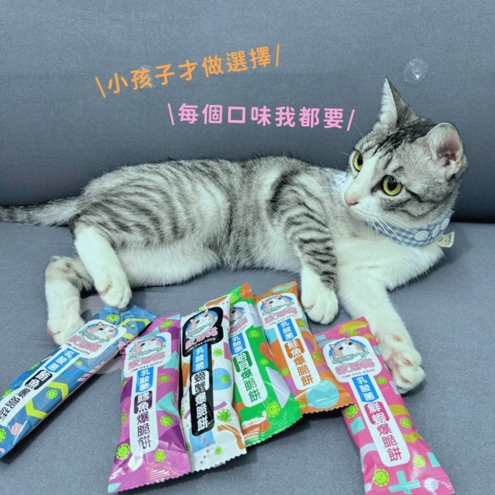 派肯寵物【快速出貨】歐姆貓 乳酸菌爆脆餅 乳酸菌 貓零食 貓點心 機能零食 寵物零食-細節圖6