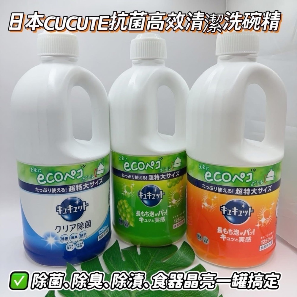 日本珂珂 現貨（日本CUCUTE）抗菌高效清潔洗碗精1250ml-細節圖2