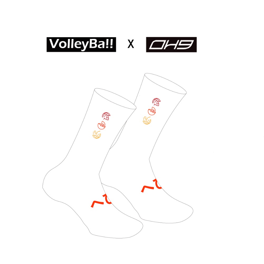 電繡三色蛇襪OH9排球襪
