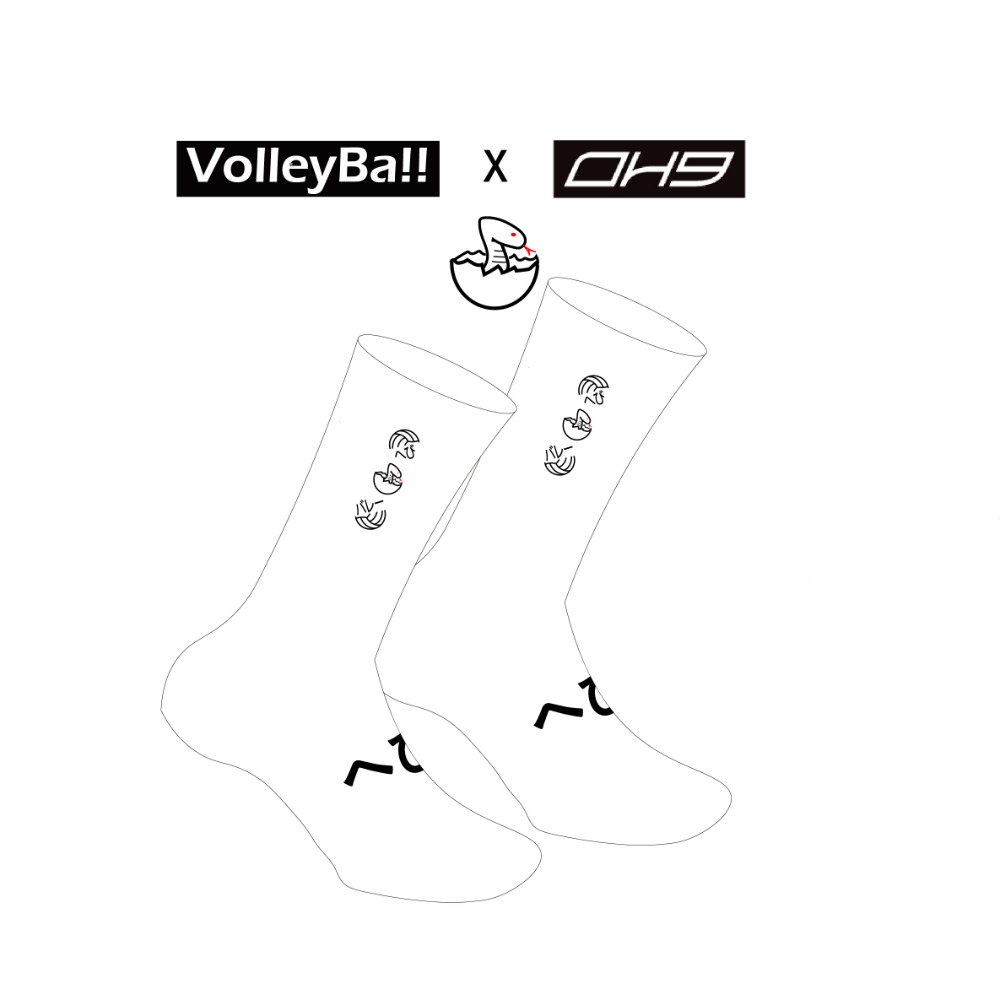 斥眼黑蛇OH9排球襪