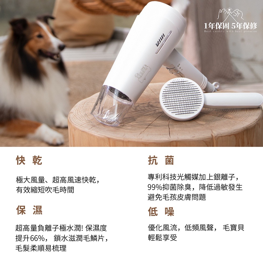【達新牌 】【寵物專用吹風機】TS-6690  低頻風聲 附寵物梳 銀離子抗菌機身 光觸媒99%有效抑菌 【蘑菇蘑菇】-細節圖10