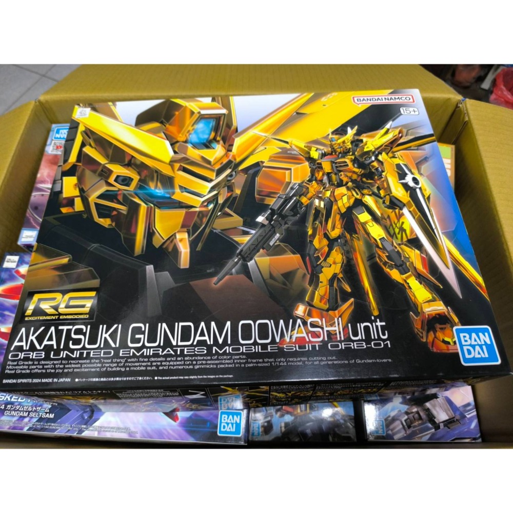 RG 1/144 鋼彈SEED 曉鋼彈 大鷲裝備-細節圖2