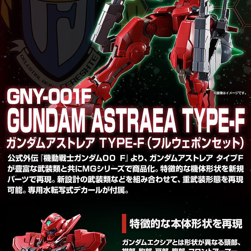 MG 1/100 GUNDAM ASTRAEA TYPE-F  FULL WEAPON SET  正義女神鋼彈 全武裝-細節圖2