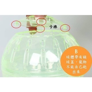 【擊掌寵物】倉鼠運動跑球 10cm ~ 20cm-細節圖4