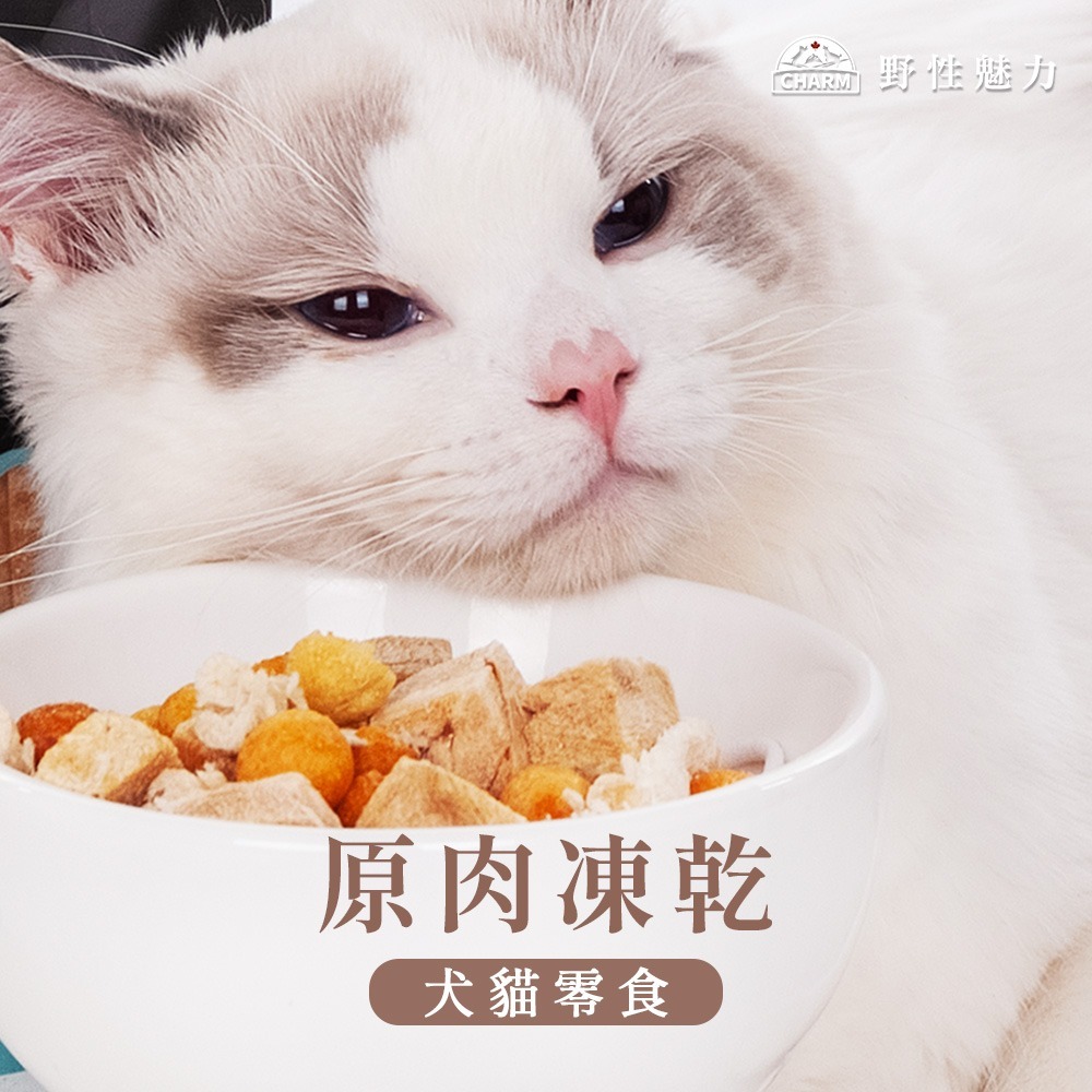 【擊掌寵物】CHARM 野性魅力100%天然原肉凍乾零食 貓狗零食 貓狗點心 貓狗凍乾 原肉凍乾 天然凍乾-細節圖2