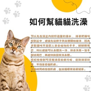 寵物洗澡按摩刷 寵物沐浴刷 貓狗按摩洗澡刷 硅膠刷 洗澡沐浴刷 寵物清潔刷  搓澡刷子 沐浴刷-細節圖7