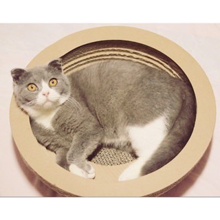 【擊掌寵物】碗型貓抓板x2 貓窩貓抓板-細節圖4