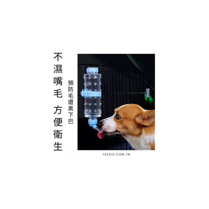 寵物掛籠式飲水 掛籠式 寵物掛籠餵食器 自動餵食器 自動飲水器 籠子飲水器 狗狗飲水器 貓咪飲水機-細節圖3