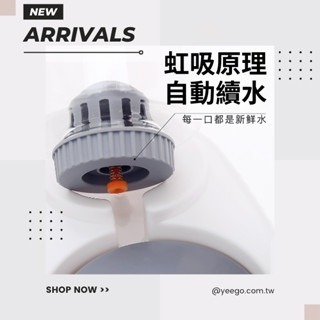 【擊掌寵物】美芙餵食餵水一體機 食盆 寵物餐碗 高架碗 飲水器 餵食器 寵物飲水器 寵物餵食器 寵物水壺 貓咪食盆-細節圖3