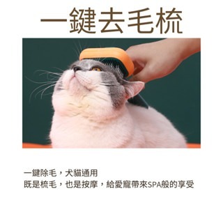 台四方大梳面深層除毛針梳 寵物梳毛 寵物梳  貓梳子 貓咪梳毛 梳毛器 寵物針梳 貓咪梳毛器 除毛梳-細節圖3