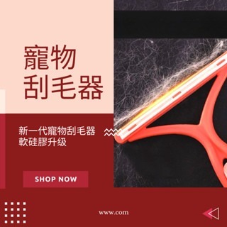 雙面刮條寵物刮毛器 寵物梳毛 寵物梳  貓梳子 貓咪梳毛 梳毛器 寵物針梳 貓咪梳毛器 除毛梳 寵物理-細節圖2